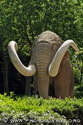Un mammouth en pierre trône dans le parc de la Citadelle. La statue grandeur 
nature a été réalisée en 1907 par Miquel Dalmau à 
l'initiative des membres de l'assemblée des sciences naturelles qui prévoyaient 
de placer d'autres reproductions d'animaux préhistoriques dans le parc mais le mammouth fut le seul à voir le jour.