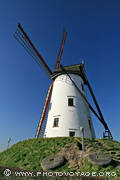 moulin de Damme - Damme mill - Schellemolen 1867