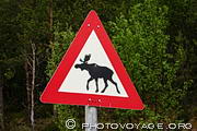 Panneau routier signalant le passage de rennes sur la route