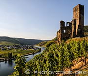 Vue sur la vallée de la Moselle au coucher du soleil depuis les hauteurs 
de Beilstein parmi les vignes qui poussent sur les pentes abruptes du château 
Metternich