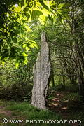 Un des 3 menhirs de Kerfland cachés dans les sous-bois du pays Bigouden - Plomeur