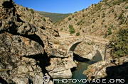 vieux pont génois emjambant la rivière Asco