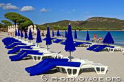 transats et parasols alignés sur la belle plage de sable fin de Palombaggia