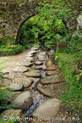 ruisseau traversant la fougeraie de la Reine dans le Parc de Pena - Sintra