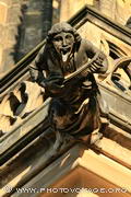 gargouille de la cathédrale St Guy jouant du luth