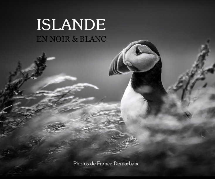 Islande en noir et blanc