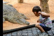 Rencontre insolite entre un enfant et un crocodile du Nil au Bioparc de Valence.